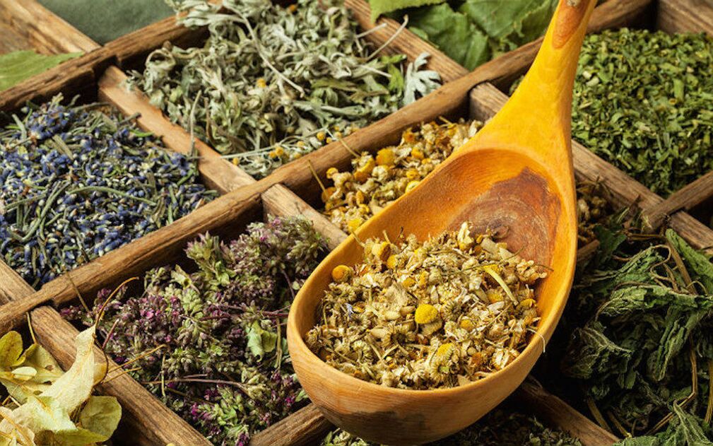 herba kering untuk parasit dalam badan