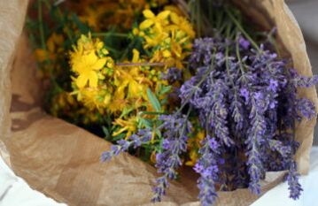 herba untuk parasit dalam badan