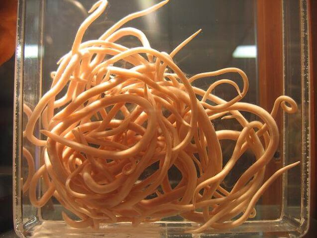 Cacing gelang ialah cacing yang tergolong dalam kelas nematoda. 